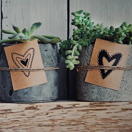 Διαμέρισμα Terrazza